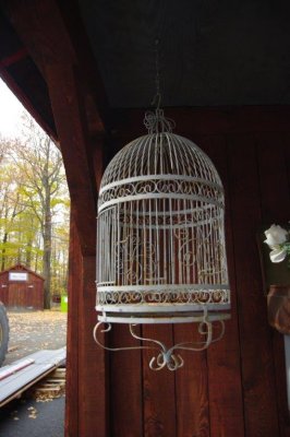  cage oiseau (quipe2)