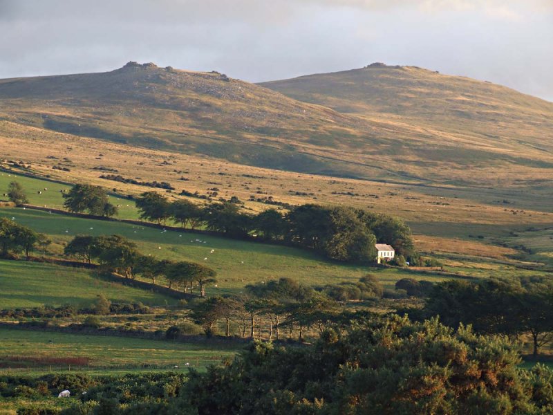 High Dartmoor Tors Above Okehampton