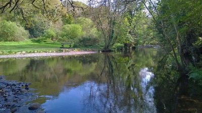 Old Town Park River 5.jpg