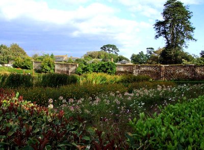 Lost Gardens of Heligan 2.jpg