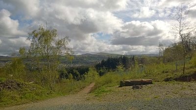 View from Abbeyford Woods