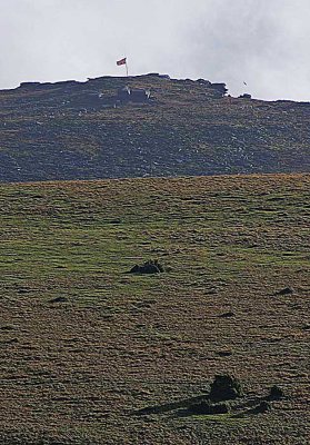 Yes Tor in Autumn Light