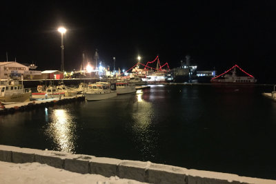 Reykjavk Harbor Night
