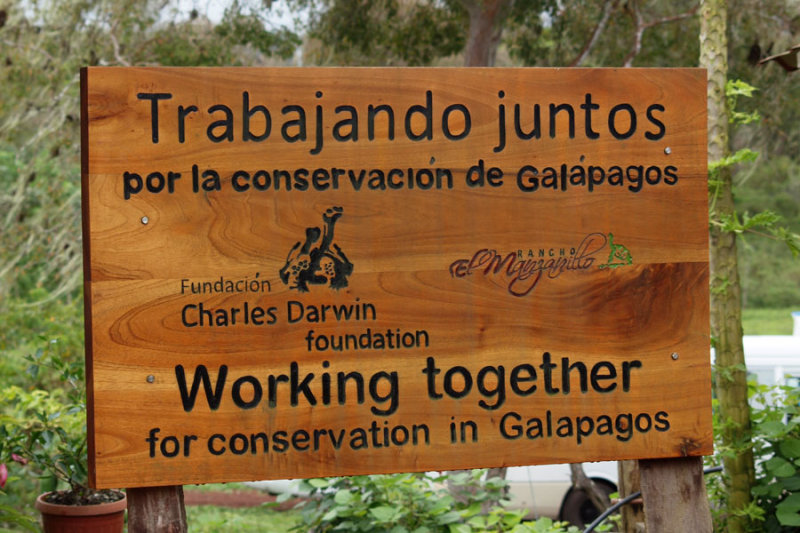 The first place we stopped at on Santa Cruz Island, Galapagos