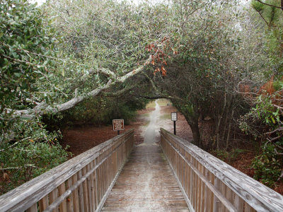 Trail from the beach