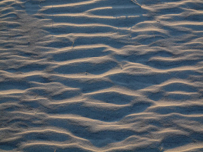 Sunlight on the sand
