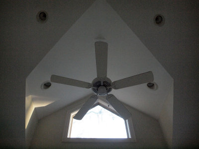 The fan in the room