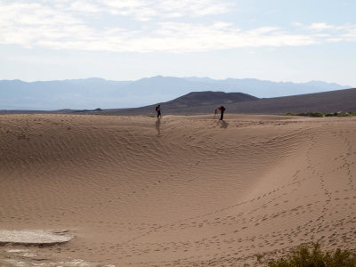 Desert Photography, Mesquite Flat, Death Valley