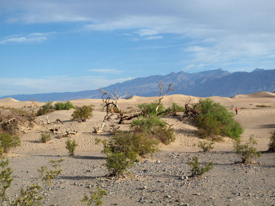 Mesquite Flat Desert Dunes