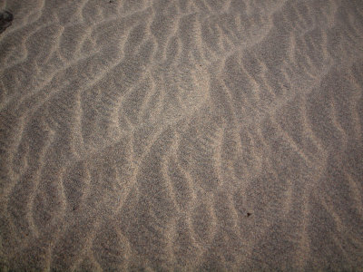 Patterns of blowing sand in the desert, Death Valley