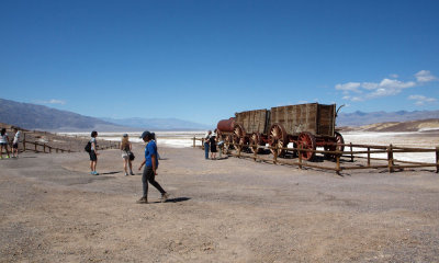 The 20 mule wagon