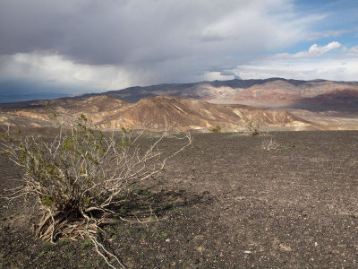 Survival in Death Valley
