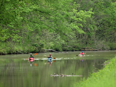 Canoeing on the canal