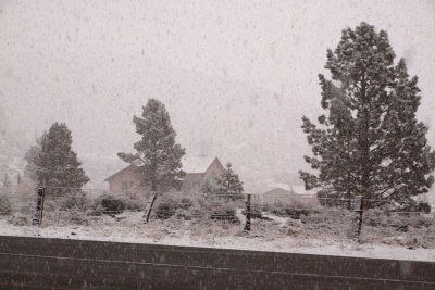 A snowstorm blows in out of nowhere