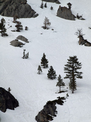Slope of hill in previous picture
