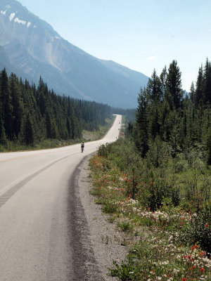 On the Icefield Parkway