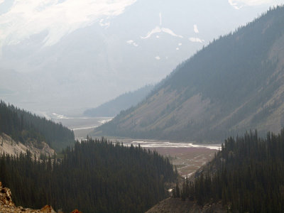 Looking down into the valley on the Icefield Parkway