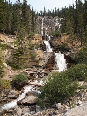 Tangle Creek Falls seen when climbing the Icefield Parkway on Tangle Ridge