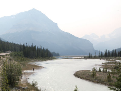 Beside the Athabasca River
