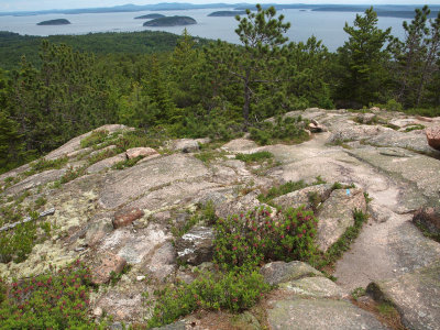View down the trail from Champlain Mountain