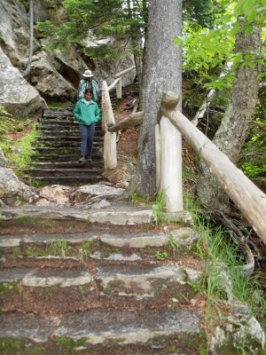 Pathway to bottom of Glen Ellis Falls