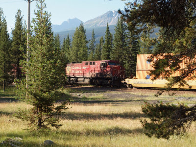 The railroad yard by the Bow Valley Parkway