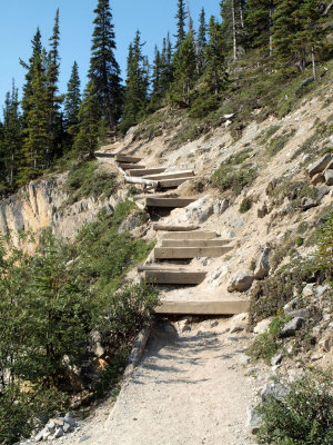 Steps up from the stream bed on the trail to Bow Glacier Waterfall