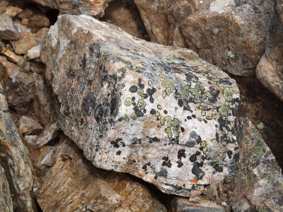 Colorful rock on Bow Summit