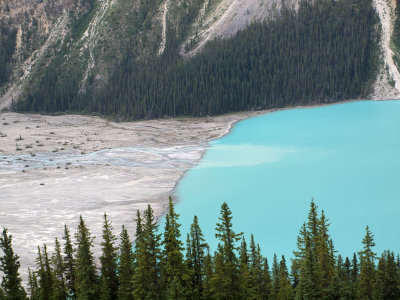 Where the water from the glacier flows into Peyto lake