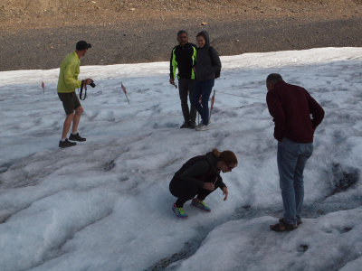 Drinking water on the Athabasca Glacier