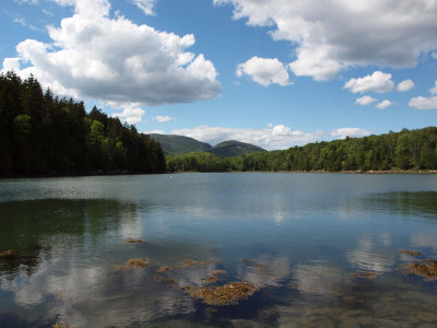 Otter Cove, Acadia National Park