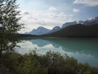 Reflections in Waterfowl Lakes
