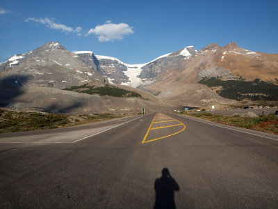 Crossing the Icefield Parkway early in the morning