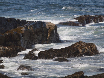 Waves crashing on rocks off Peaks Island, NH