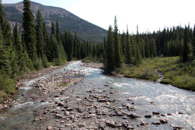 The stream crossing the Icefield Parkway