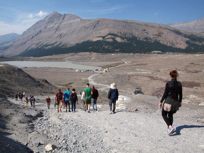 Headed back from the walk to the toe of Athabasca glacier