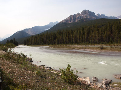 Athabasa river and the mountains along the Icefield Parkway