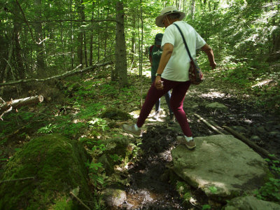 Bridging the gaps, hiking in Camden State Park, ME