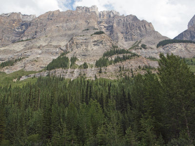Towering cliff side beside the Icefield Parkway