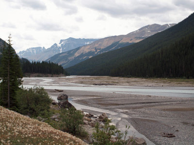 The Athabasca river