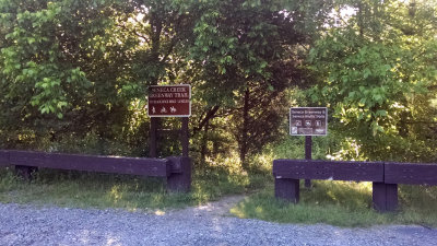 June 11 - Section of the Greenway trail