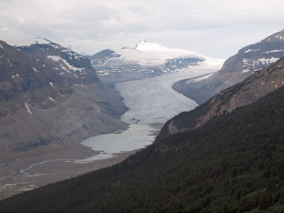 The Saskatchewan Glacier