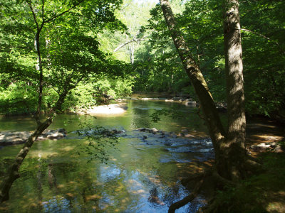 The quiet creek