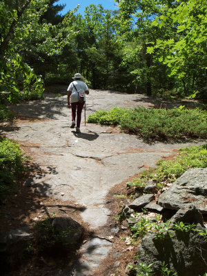 On the trail from the Ocean Overlook