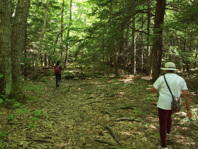 On the trail to the Ocean Overlook