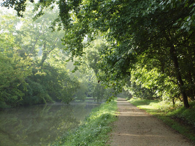 Trail and canal in the morning