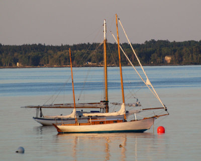 In the evening light in the Lincolnville harbor area