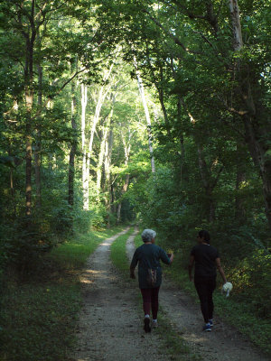 Headed down the trail