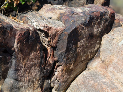 Rocks with rust, Peaks Island