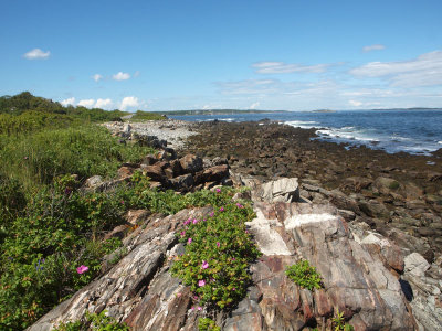 Peaks Island shore